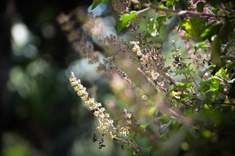 picture12.jpg