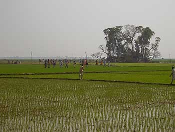 38.jpg 38.jpg